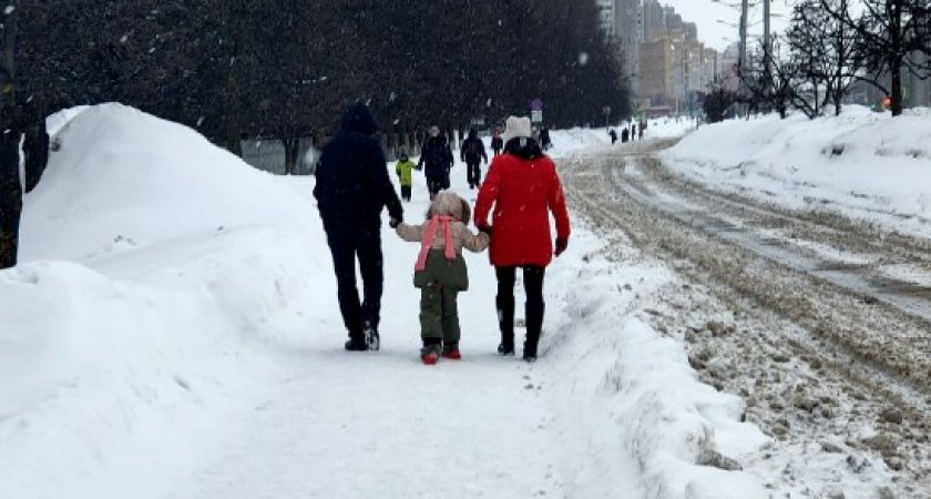 Каждой семье ежемесячно по 10 000 рублей: в Госдуму внесли законопроект о выплатах