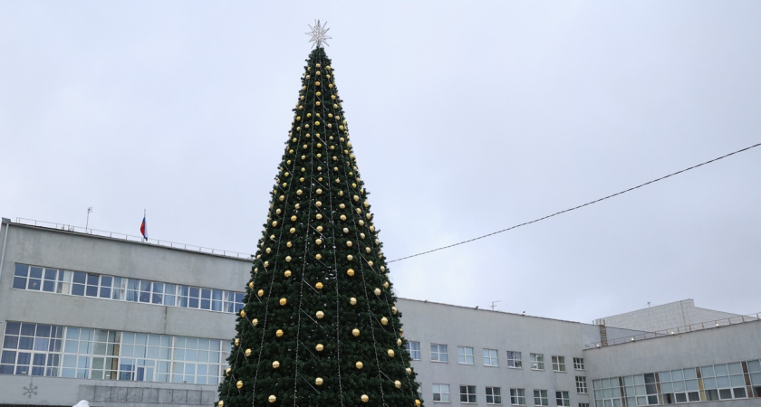 Новогодняя елка скоро засияет в центр Дзержинска