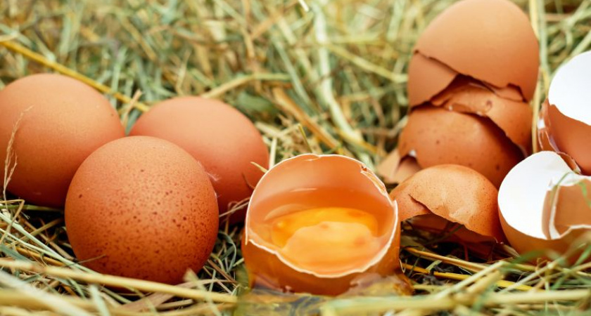 Вместо яиц куриная икра: что произошло с ценами