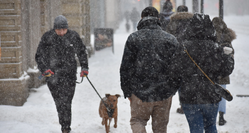 Рекордное количество снега выпало за сутки в Дзержинске 