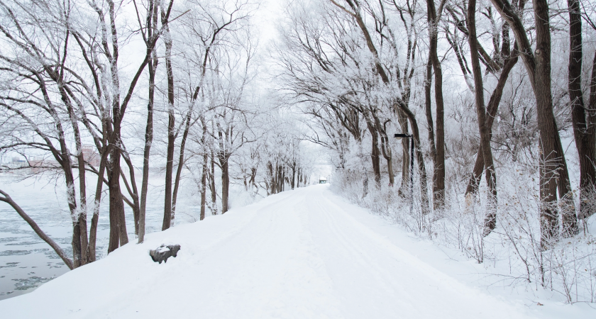 Снег весь день: погода в Дзержинске подготовила сюрприз во вторник