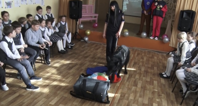 Собака вместо учителя: необычный урок прошел в Дзержинской школе