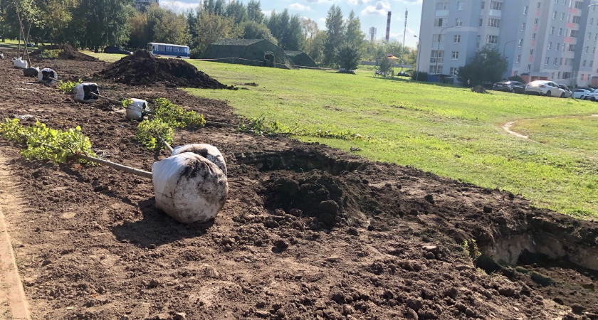 В Нижегородской области восстановят 14 тысяч гектаров леса 