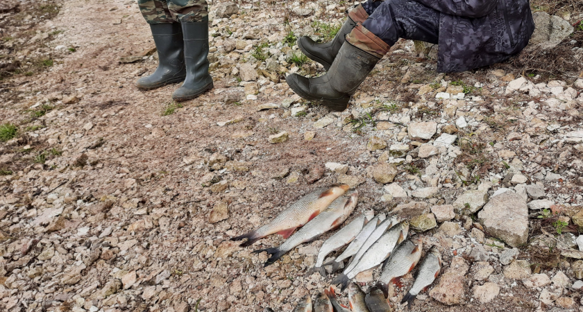 Более 80 средств для ловли рыбы изъято у браконьеров в Нижегородской области