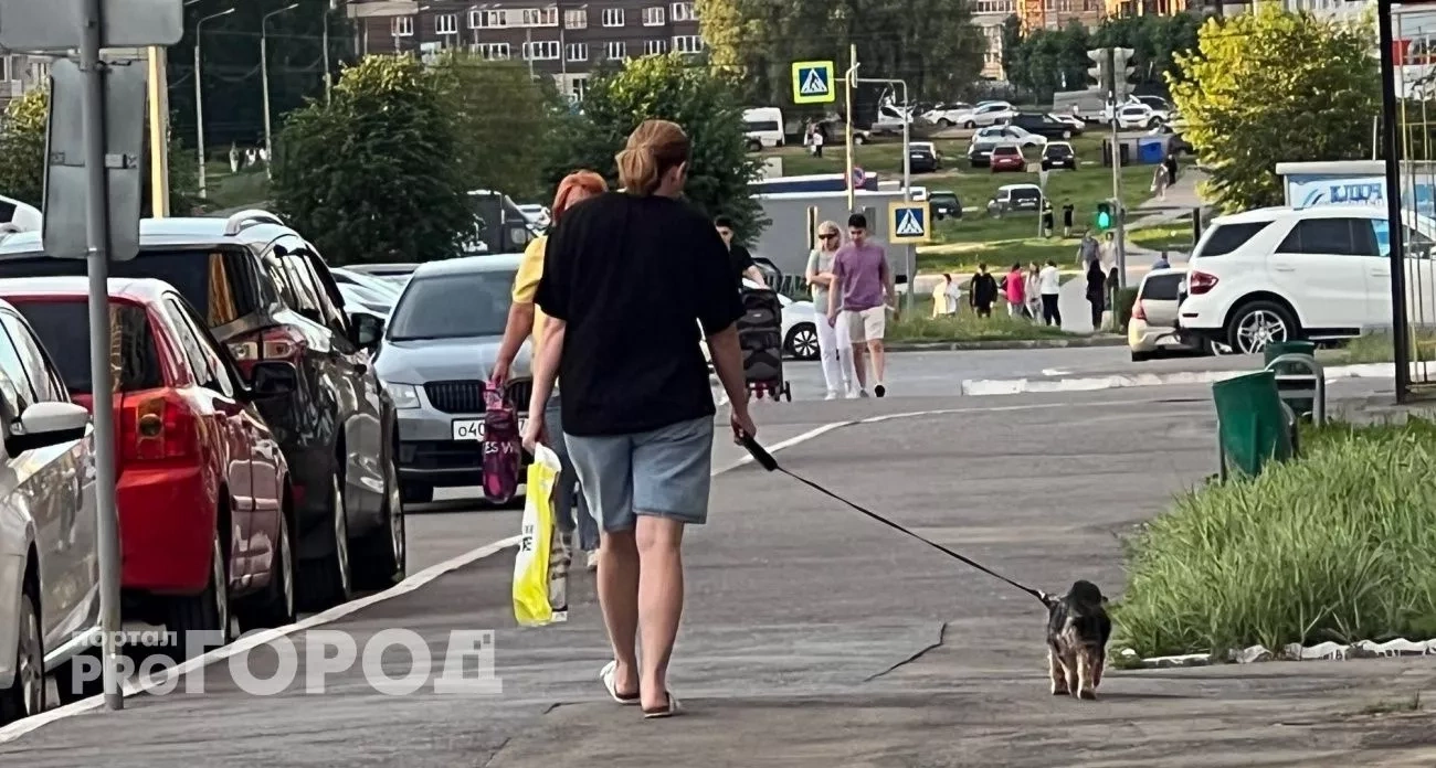 Денежный поток накроет с головой: три знака ждет судьбоносное богатство после 15 августа