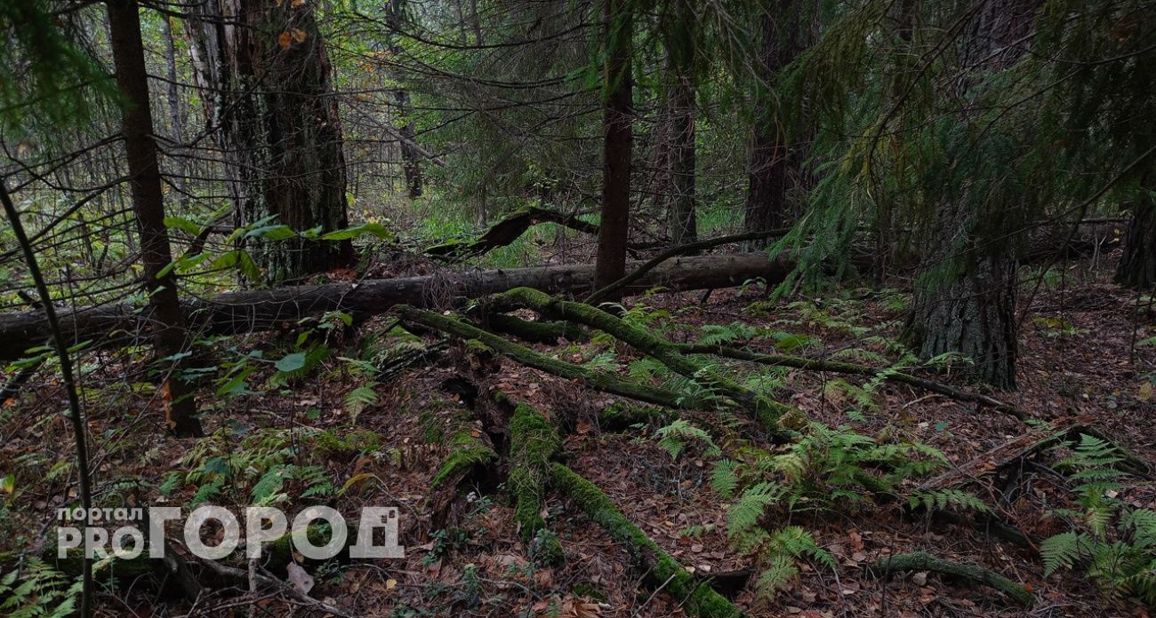 В Нижегородской области обновили Красную книгу: исключили 59 видов и добавили 60 новых