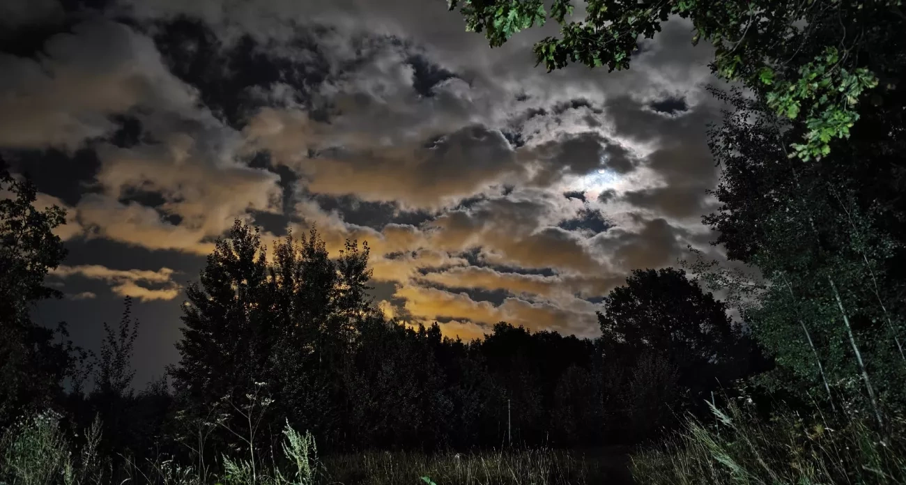 Три знака зодиака ждут судьбоносные перемены до 11 сентября — проверьте, среди ли вы избранных