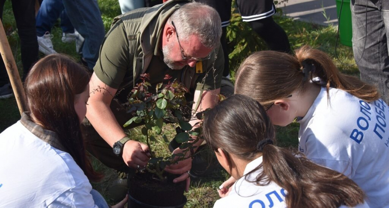 Более 100 розовых кустов высадят на стадионе "Пионер" к юбилею Дзержинска