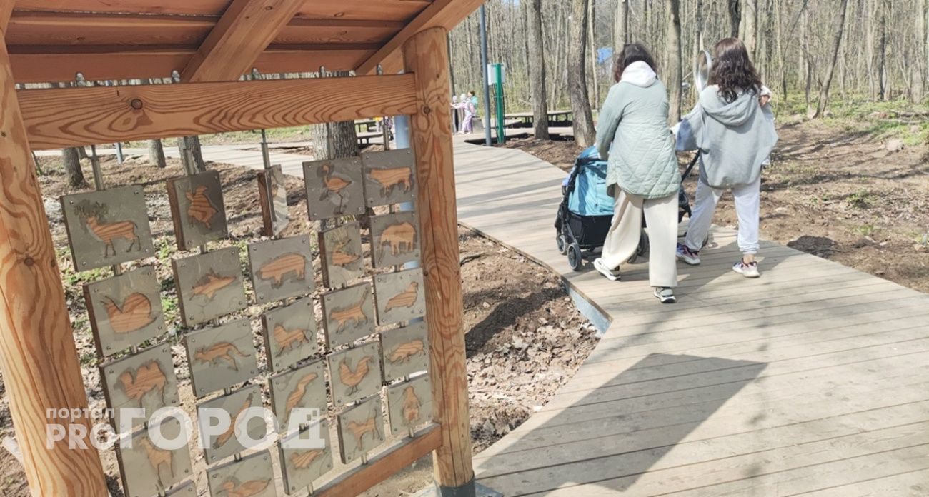 Декретный отпуск засчитывается в трудовой стаж для получения оплачиваемого отпуска