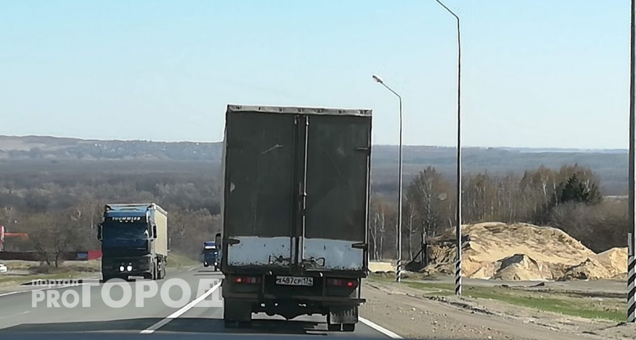 Водителю грозит лишение прав за наезд на животное из Красной книги