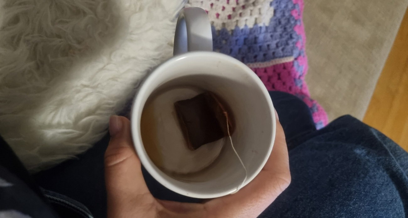 Забытый трюк советских времён: что происходит с унитазом, если оставить в нём чайный пакетик на полчаса