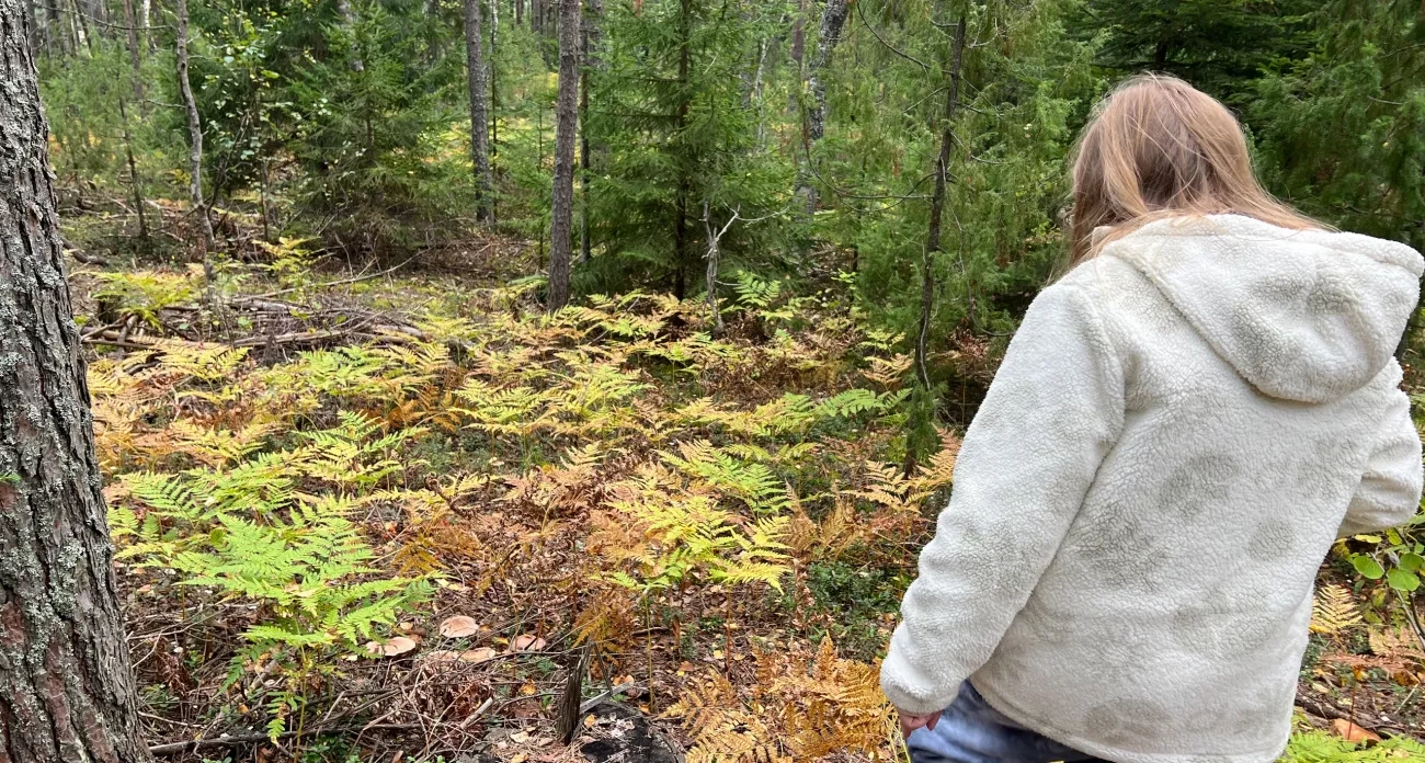 Женщины, рождённые 6, 16 и 26 числа, обладают тайным даром создавать браки на всю жизнь — проверьте свою дату