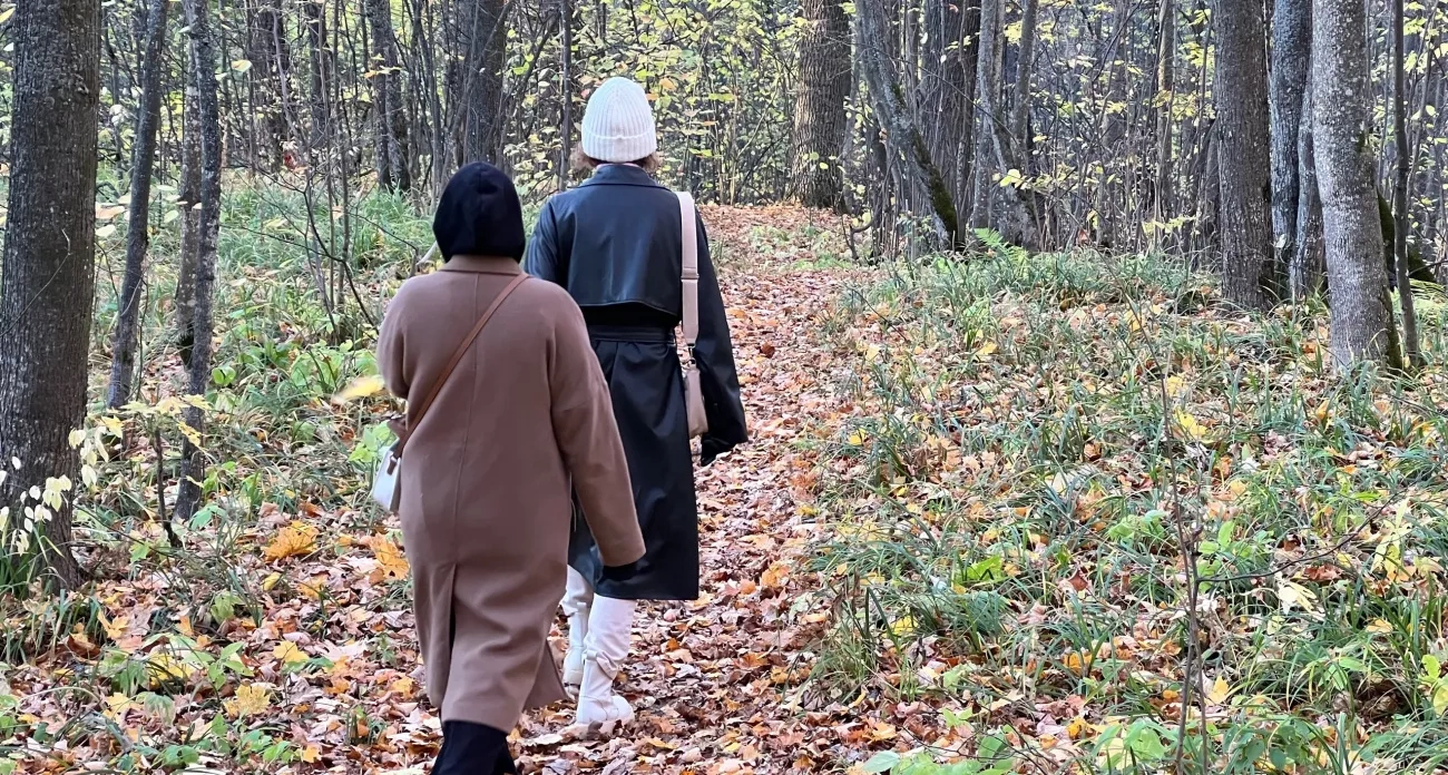 Скорпионы помнят каждую обиду десятилетиями: что происходит в их душе и как это влияет на всю жизнь