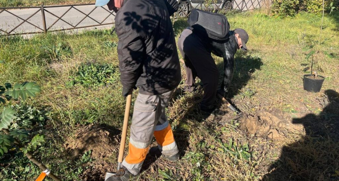 Дзержинск преображается: на трех главных улицах высаживают тысячи луковичных растений