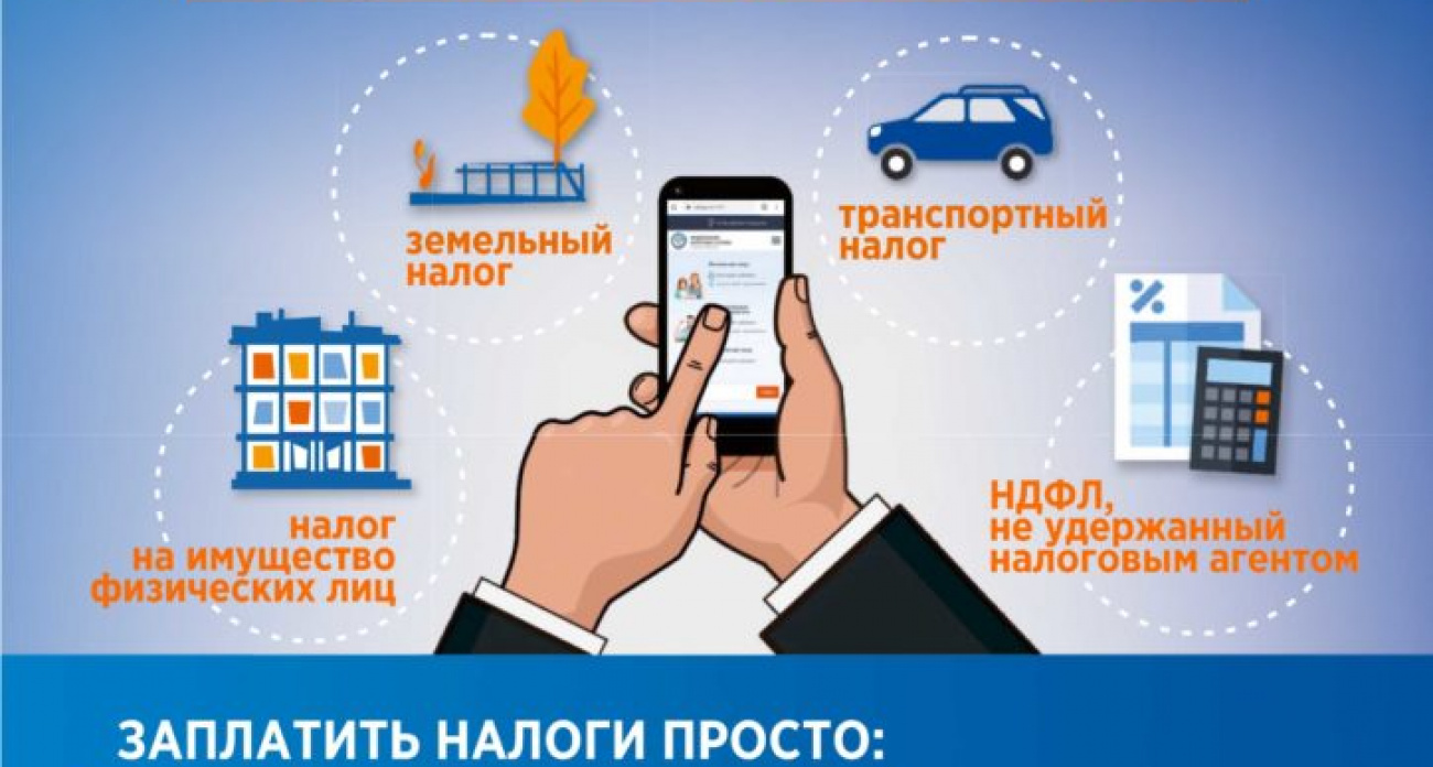 Налоговая Дзержинска продлила работу до 20:00 из-за массовой рассылки уведомлений за 2024 год