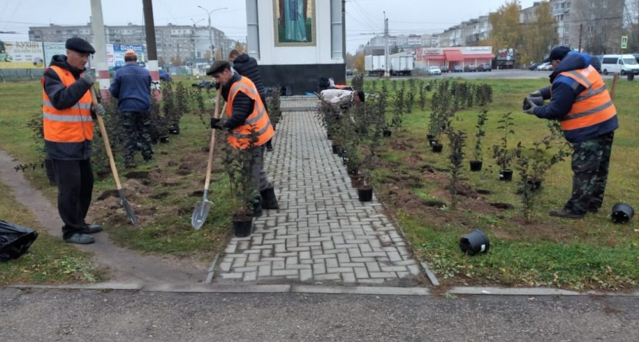 В Дзержинске высаживают сотни саженцев и меняют разбитые стекла остановок