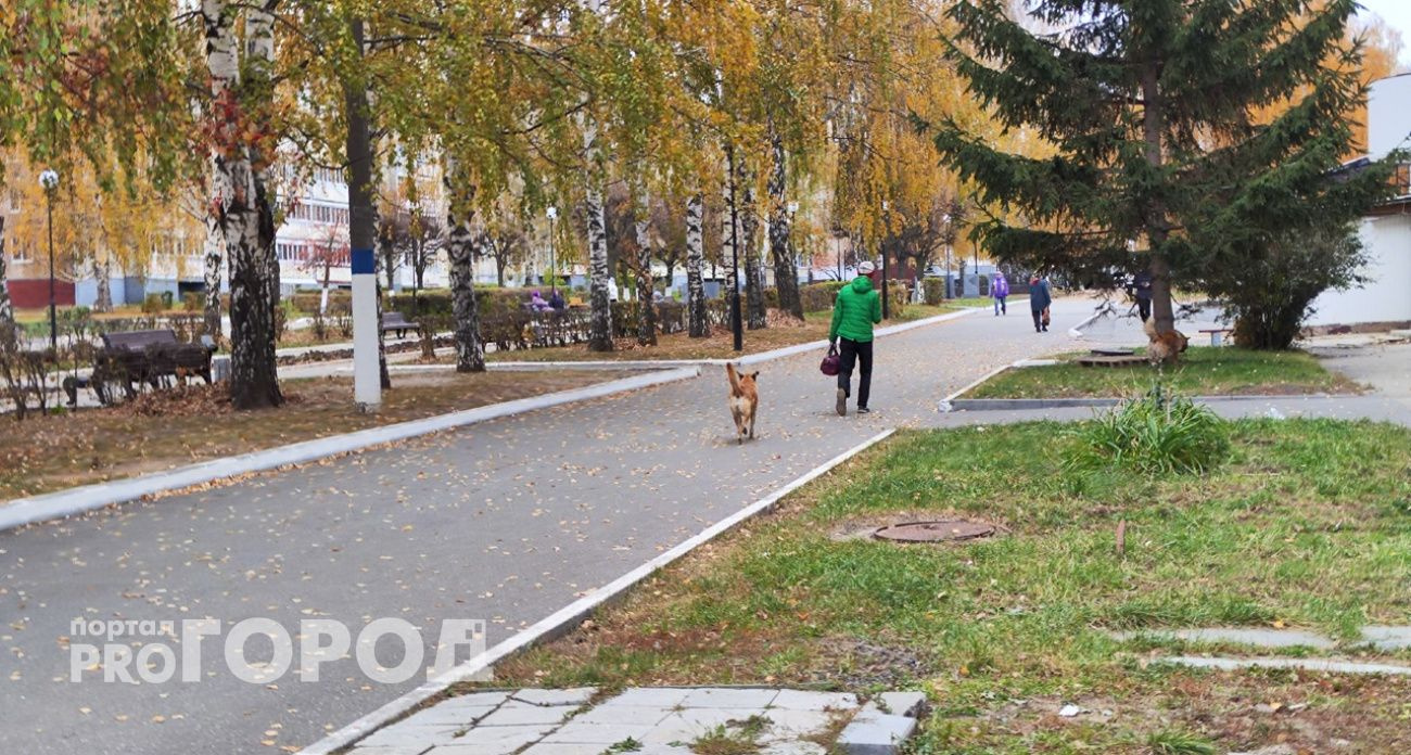 Пенсии в Нижегородской области повысят в ноябре для нескольких групп граждан