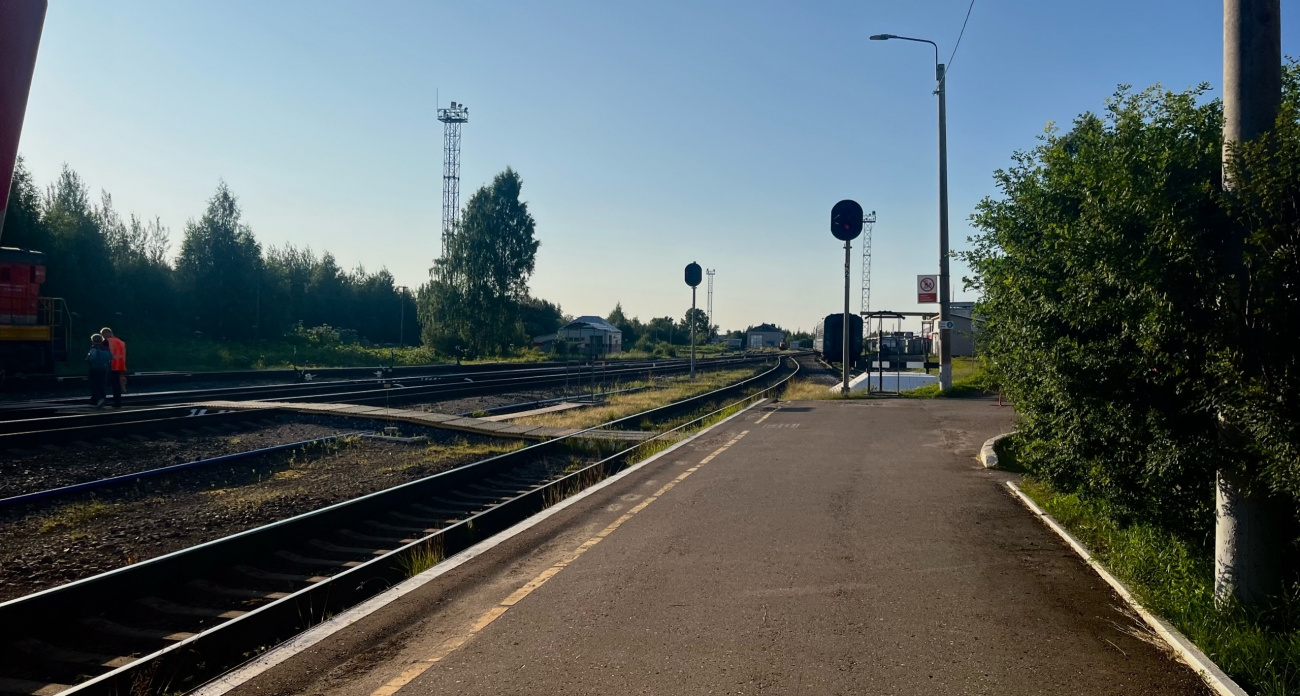 Поехали в Беларусь за дешевой молочкой и легендарными драниками — вот что нас там ждало на самом деле