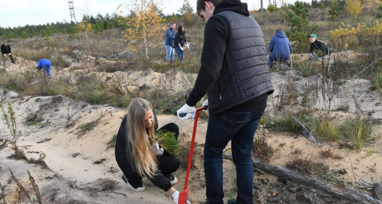 Депутаты Дзержинска высадили 5000 сосен на месте сгоревшего леса