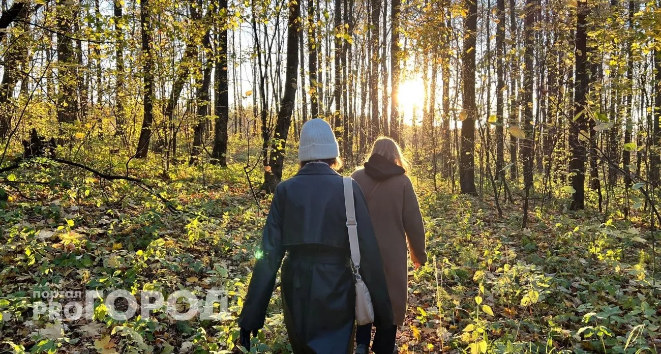 Володина назвала знак зодиака, которого ждет переломный момент: деньги, любовь и карьера сложатся одновременно