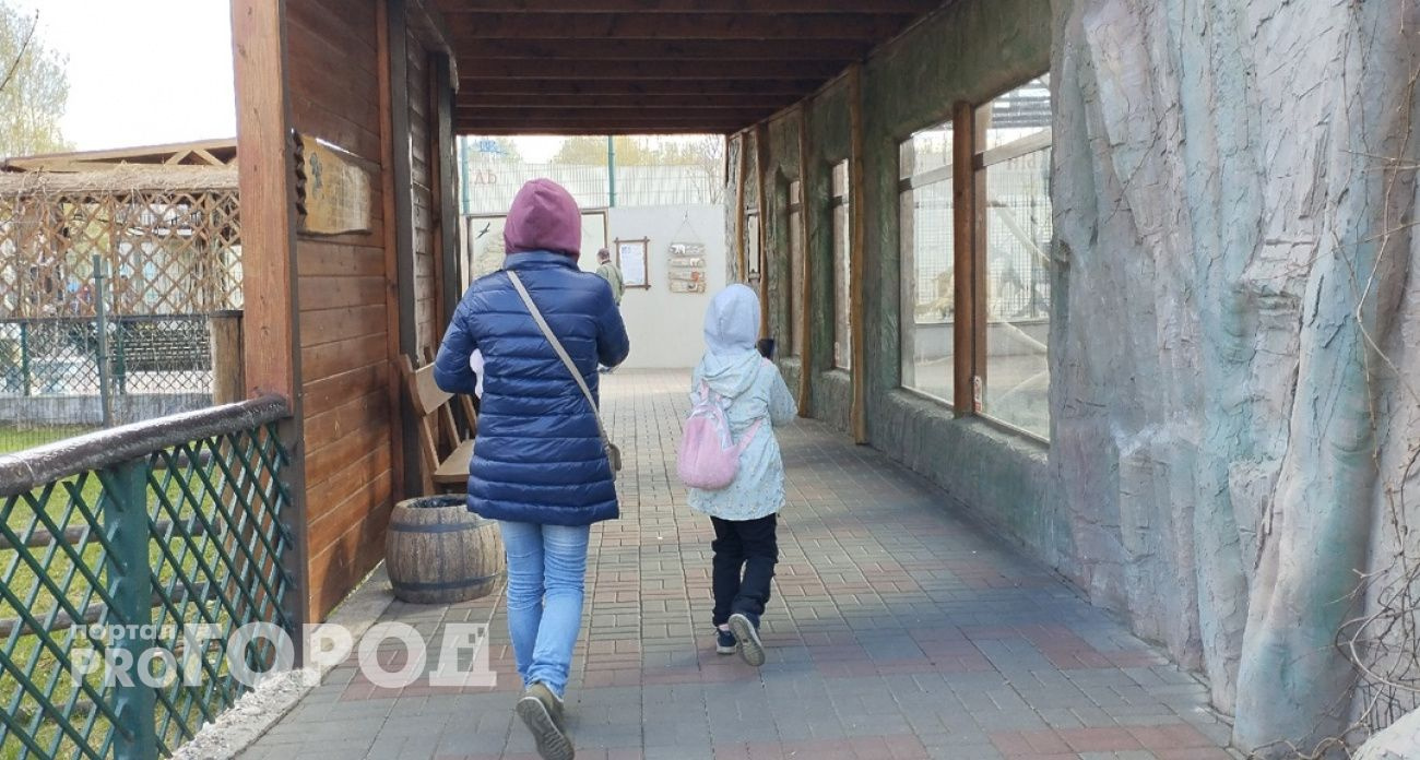 В России создадут федеральный регистр беременных и новорожденных