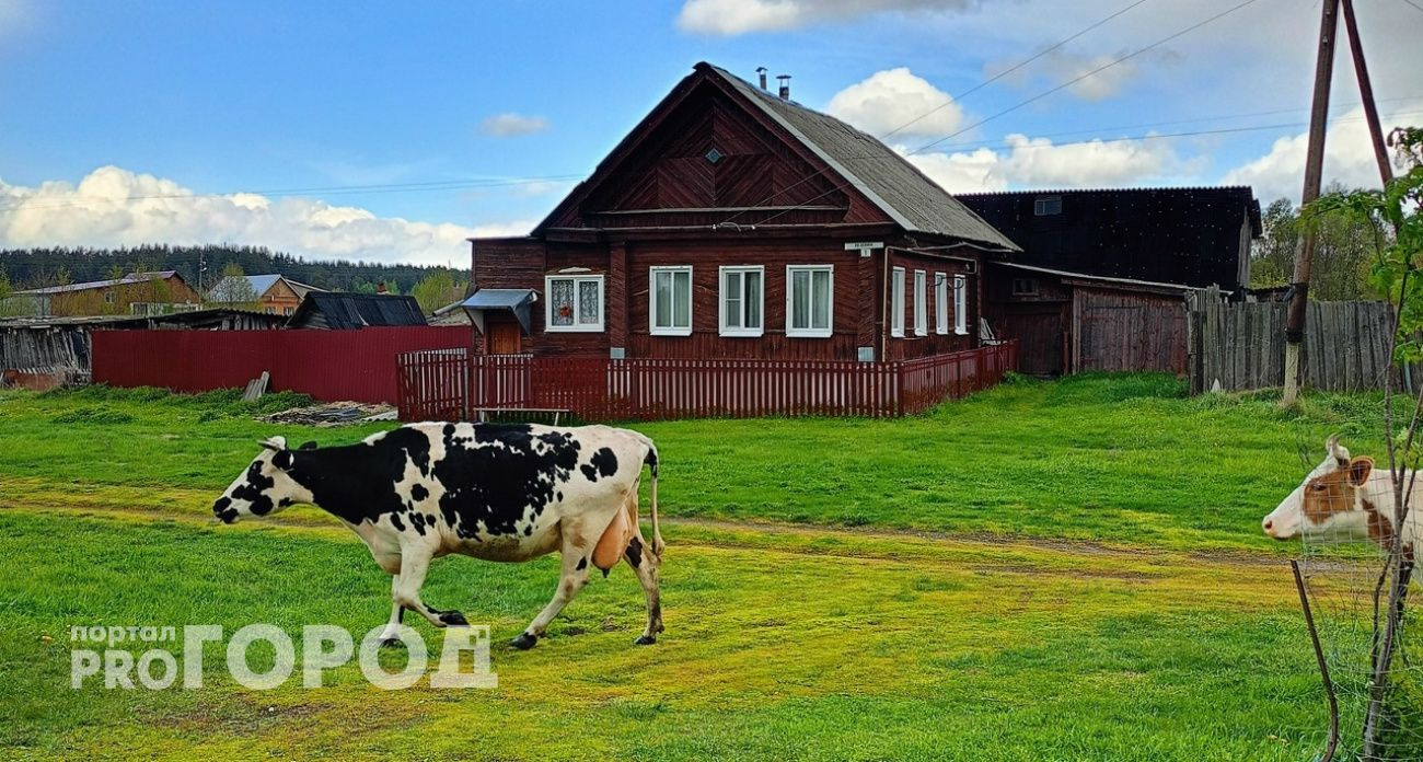 В Нижегородской области с 2000-х годов появились четыре новых населенных пункта