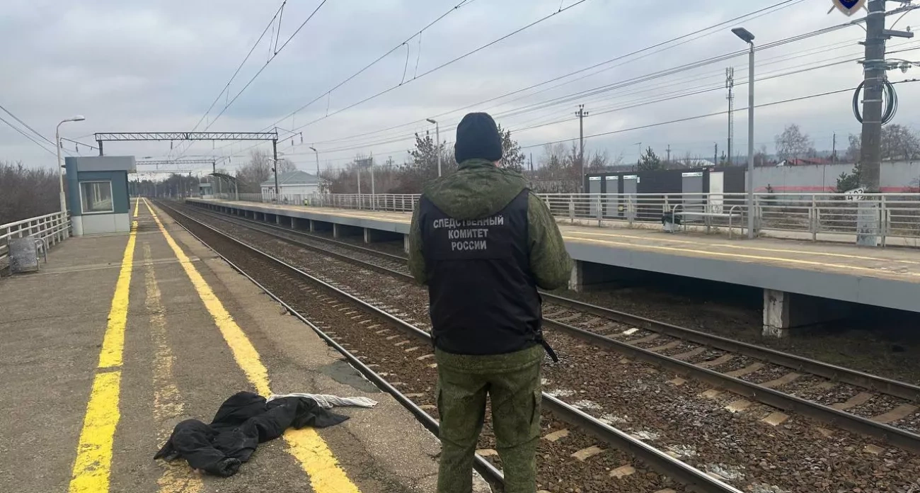 Дзержинск: поезд сбил женщину на переходе, библиотека плетет сети для бойцов - главные новости за 21 ноября