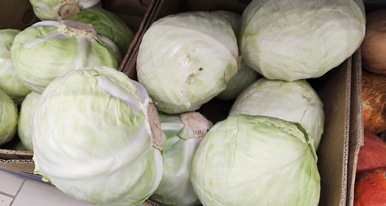 Посыпаю этим порошком капусту перед хранением - лежит в квартире до весны свежей и хрустящей, как только что срезанная