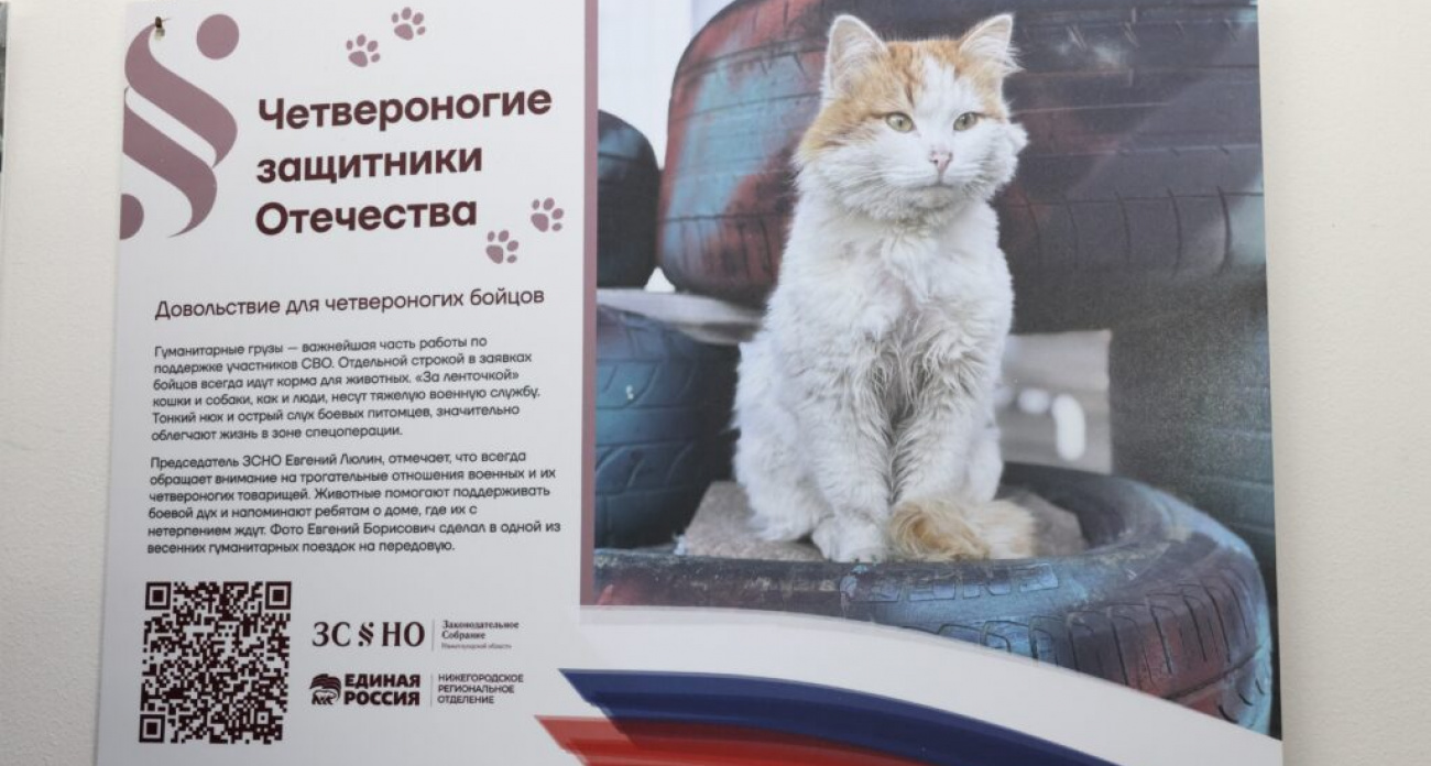 "Четвероногие защитники": более 30 фото котов и собак с фронта показали в парламенте