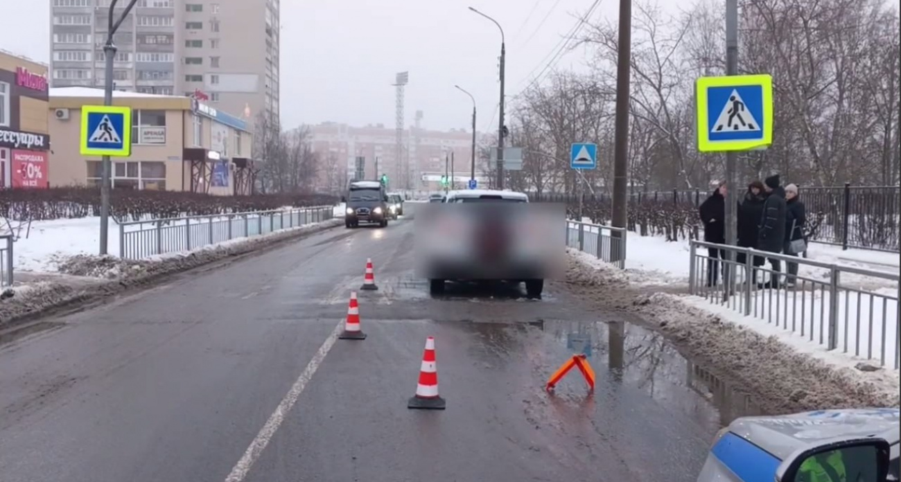 В Дзержинске водитель сбил двух девочек на пешеходном переходе