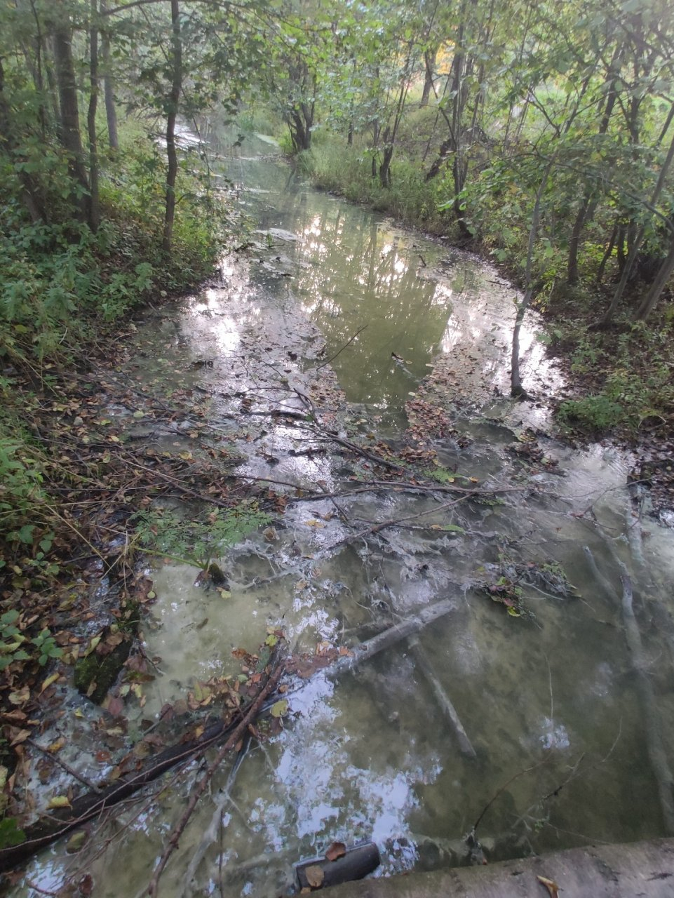 В Дзержинске ручей превратился в канализацию