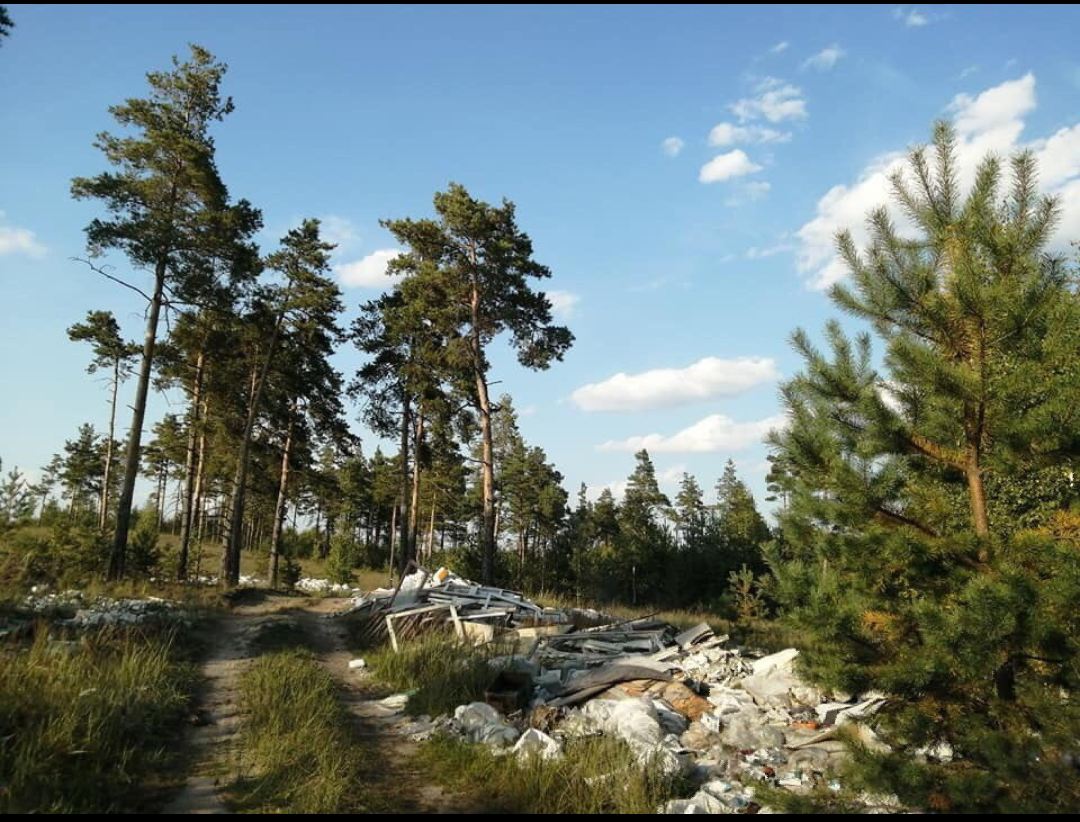 Крупную свалку строительного мусора нашли под Дзержинском