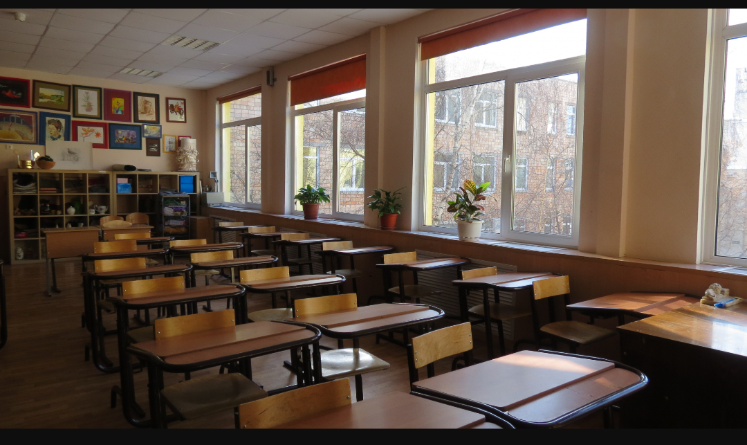 А будет ли легче: новые школьные стандарты появятся в России