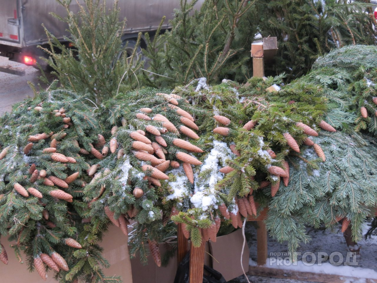 Где и какие новогодние елки можно приобрести в Дзержинске