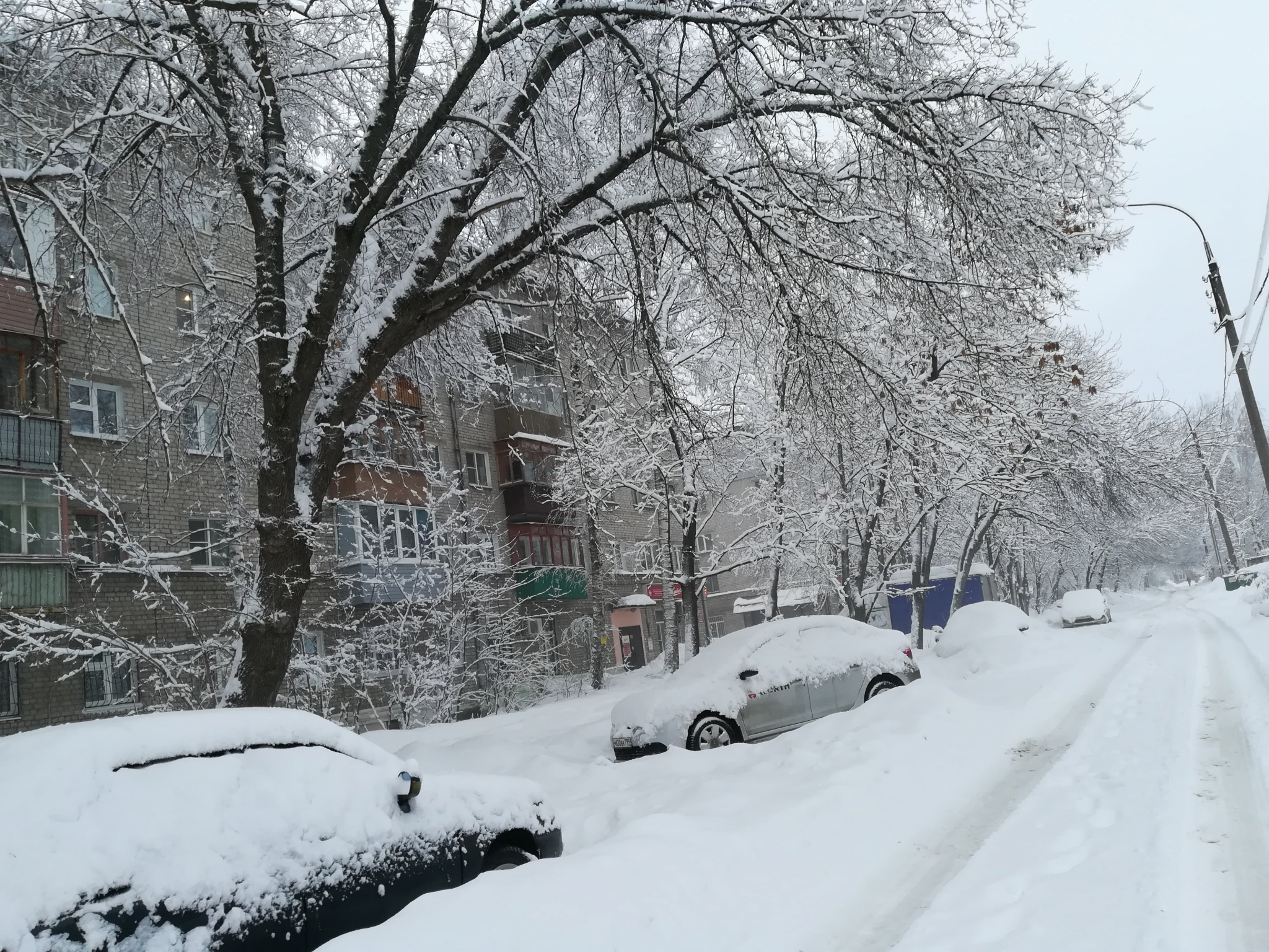 Мокрый снег и гололед ожидаются в Нижегородской области 1 января