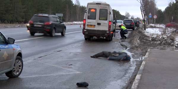 Смертельный маршрут: в Дзержинске междугородняя маршрутка насмерть сбила мужчину