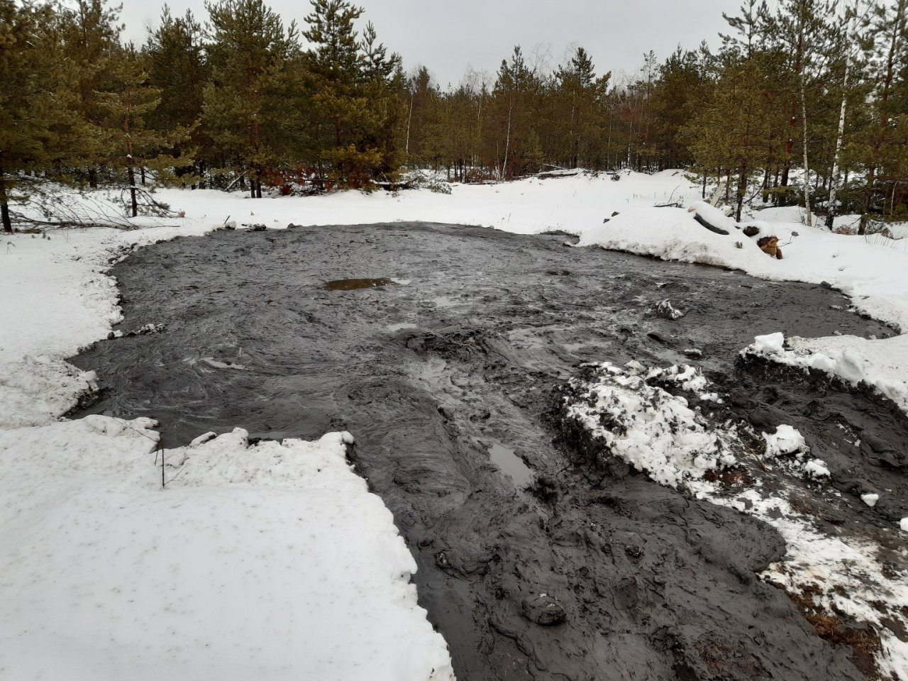 Организация «DAF» извинилась за разлив технической жидкости в лесах Дзержинска
