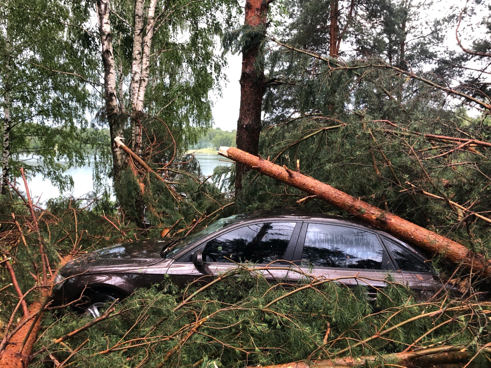 В Богородском районе машины у палаточного лагеря завалило деревьями