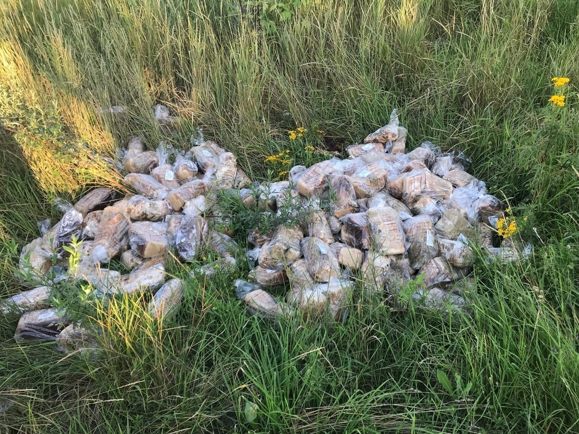 Десятки буханок хлеба нашли в зарослях Дзержинска