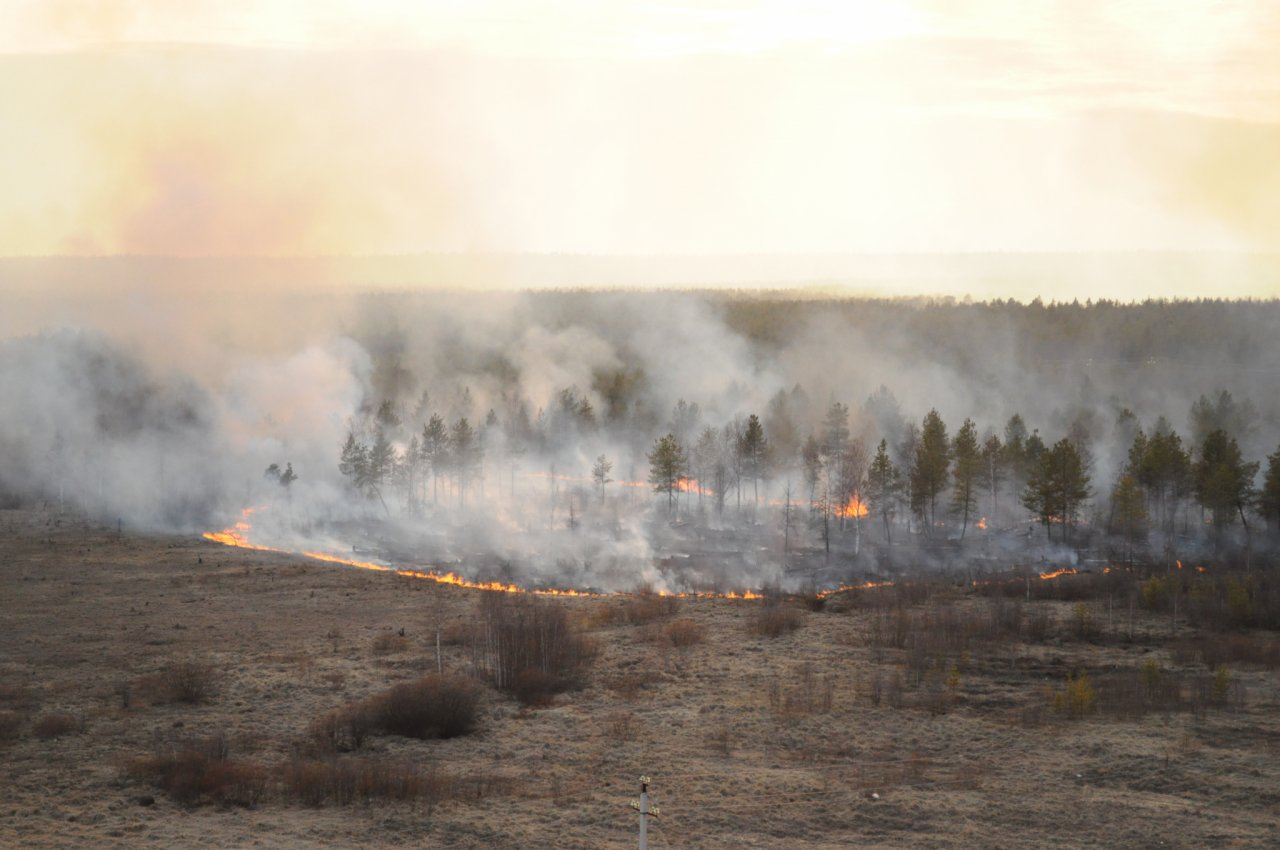 Нижегородскую область могут настигнуть пожары четвертого класса опасности