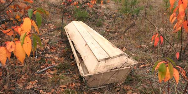Гроб нашли очевидцы в Дзержинском лесу