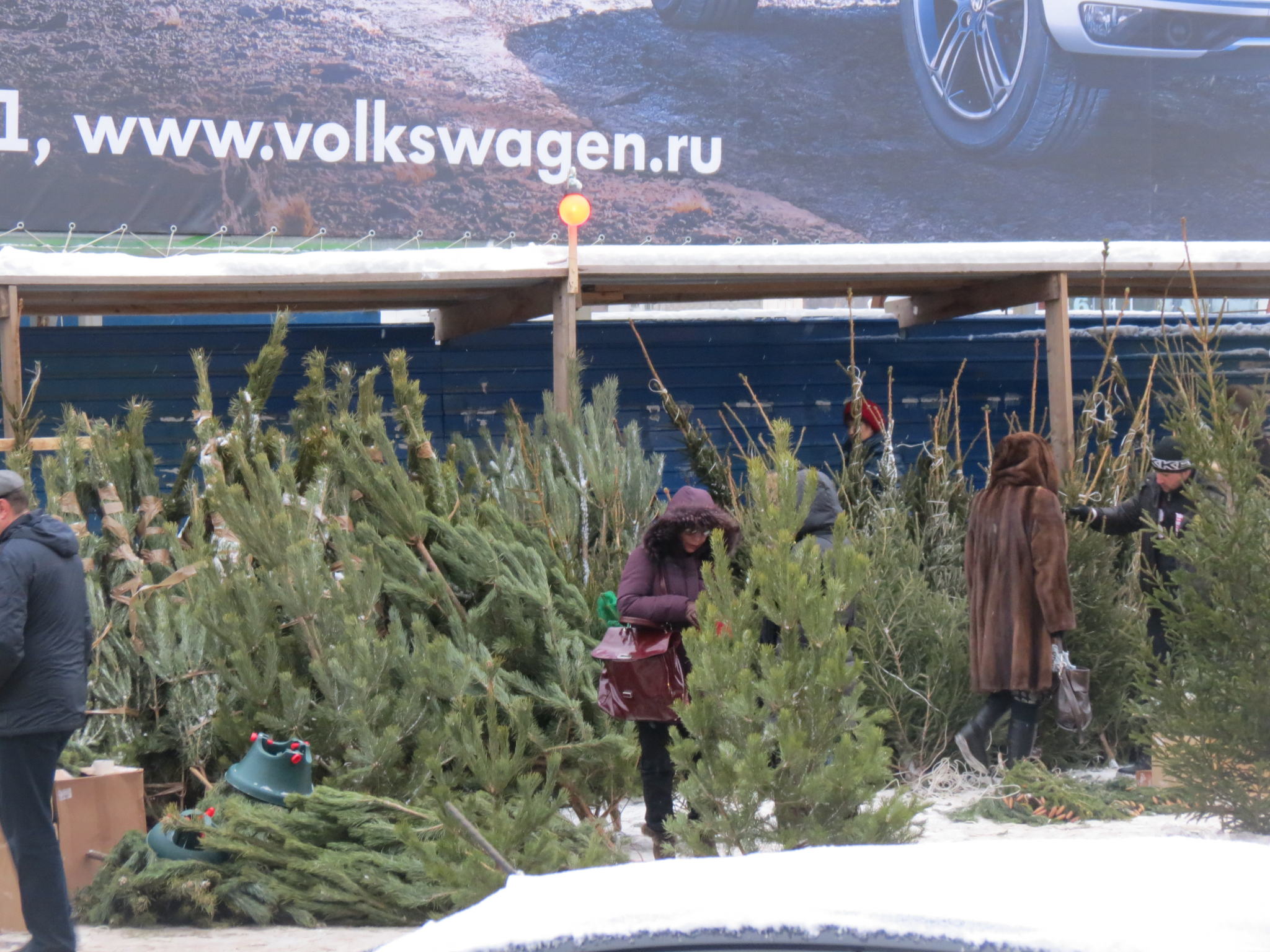 Житель Ветлуги предстанет перед судом за 15 спиленных деревьев