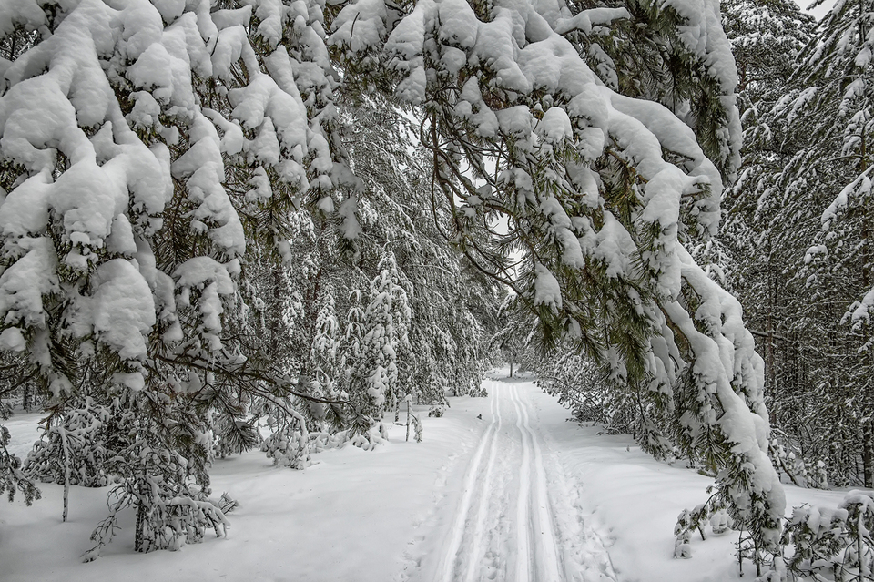 Потепление и снег ждут жителей Нижегородской области в выходные