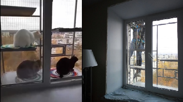 Жительница Дзержинска пристроила к квартире балкон для своих котов