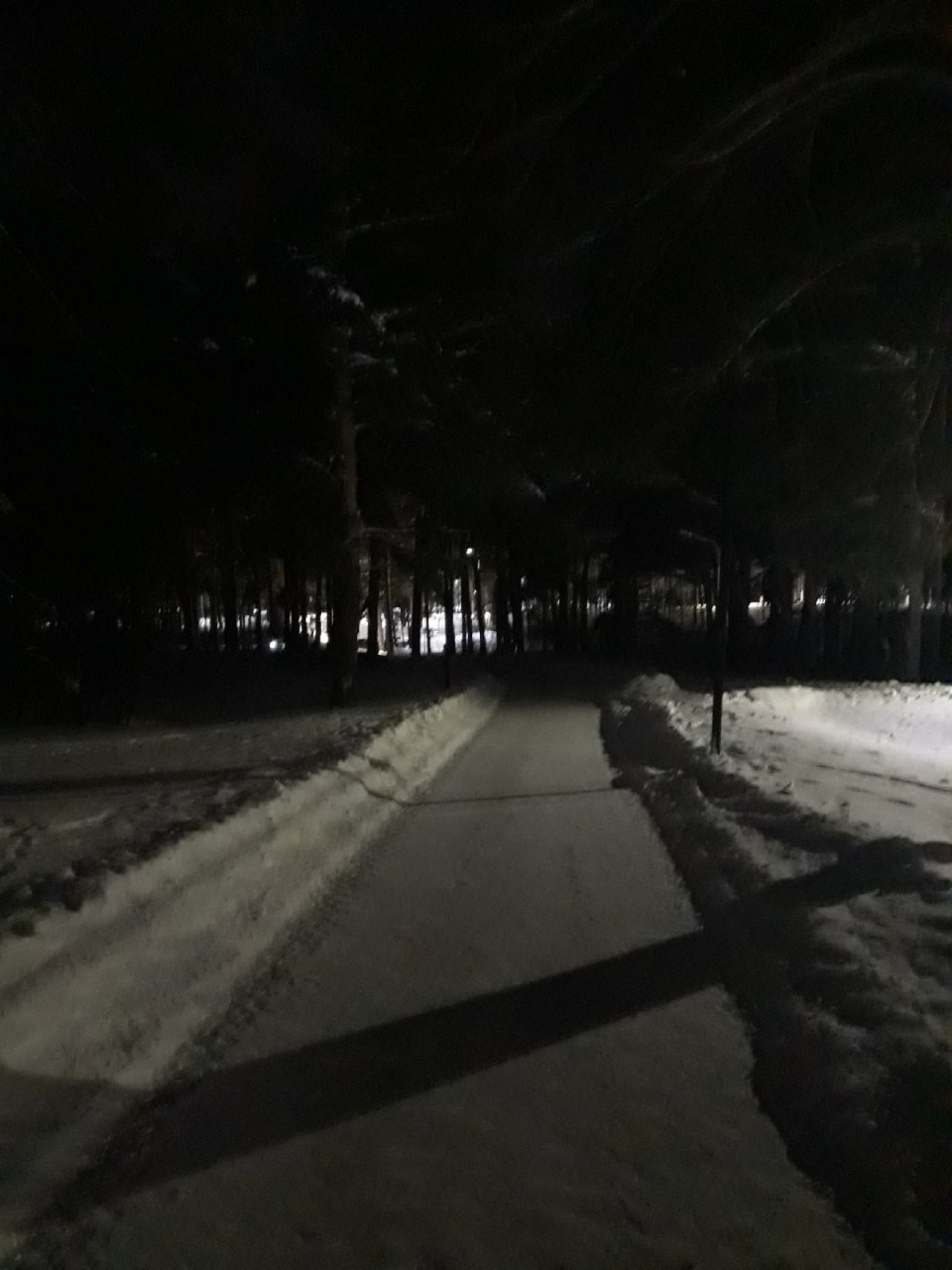 В парке "Утиное озеро" пропало освещение на входе
