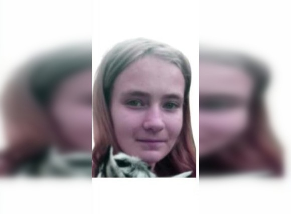 15-летняя девочка ушла за ягодами и пропала в лесу в Нижегородской области
