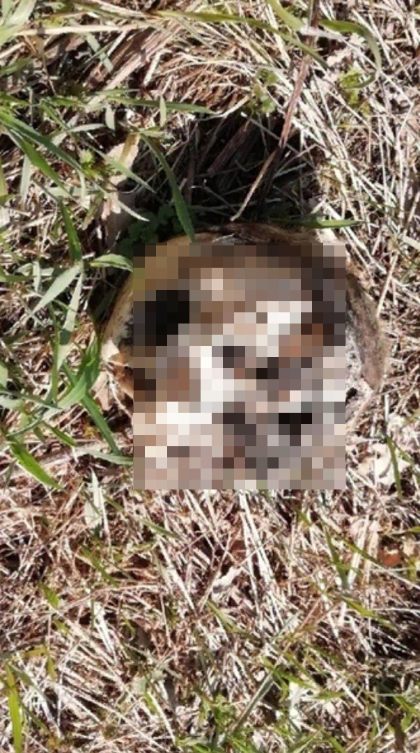 Человеческий череп найден на берегу Бездонки в Дзержинске
