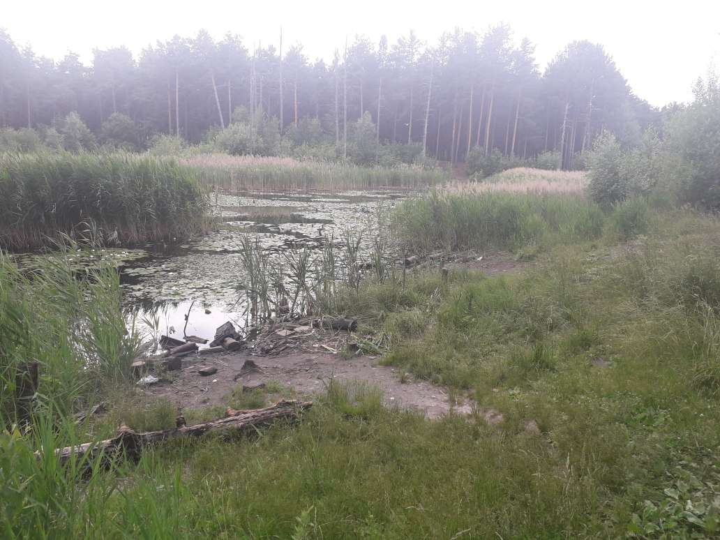Подрядчик из Москвы благоустроит территорию у озера Утиное в Дзержинске