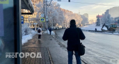 Водитель автобуса в Дзержинске обматерил школьник и выставил на мороз