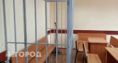Жительница Дзержинска сядет в тюрьму за то, что насмерть сбила ребенка 